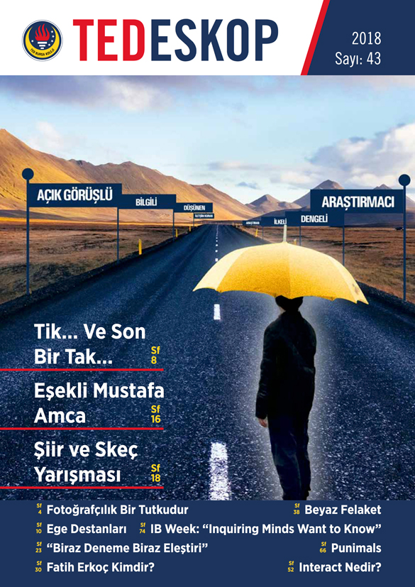TEDESKOP 43. sayı kapağı